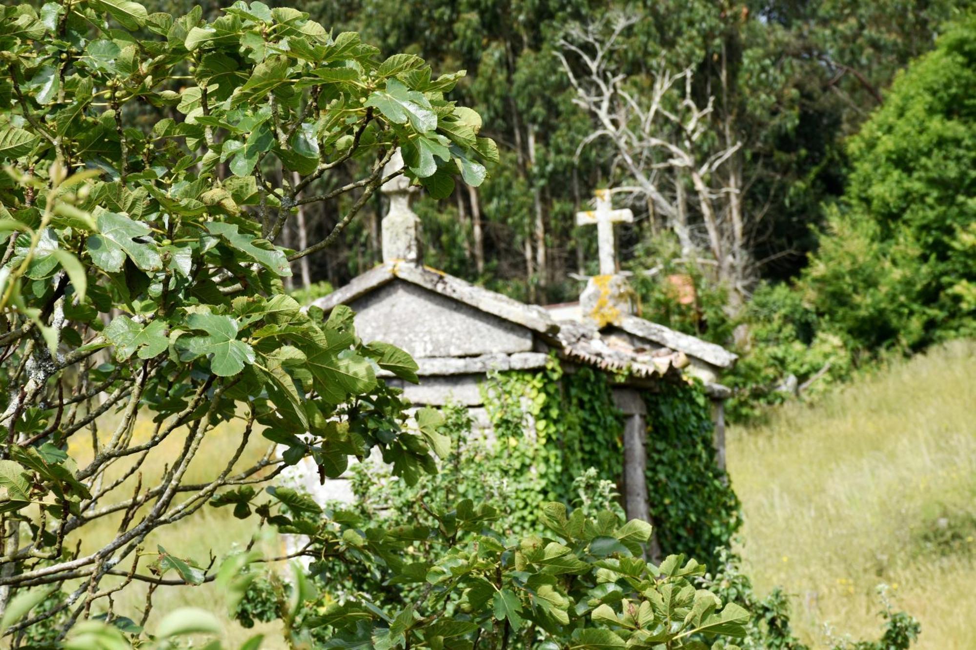 穆希亚Casa Cal Da Rosins别墅 外观 照片